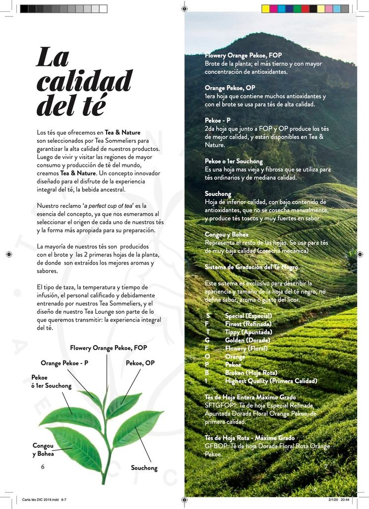 Carta de tés escrita